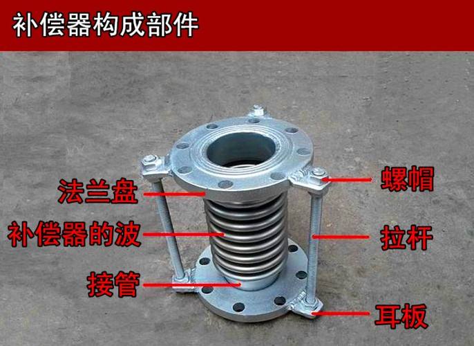 太原波纹黄瓜视频免费观看入口