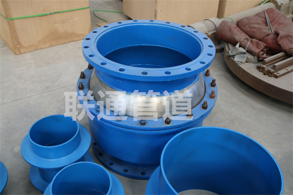 江西球形黄瓜视频免费观看入口