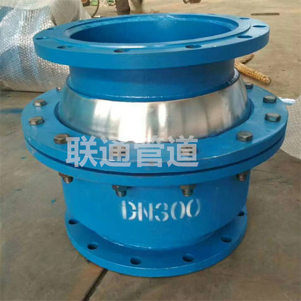 福建球形黄瓜视频免费观看入口
