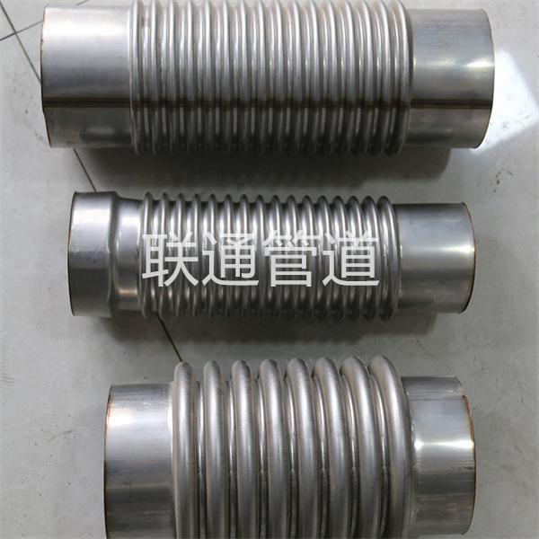 球形黄瓜视频免费观看入口